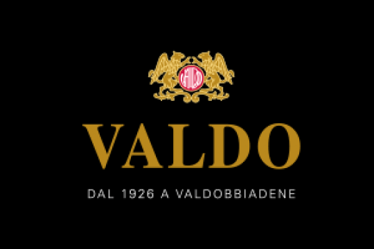 valdo-logo-300-200