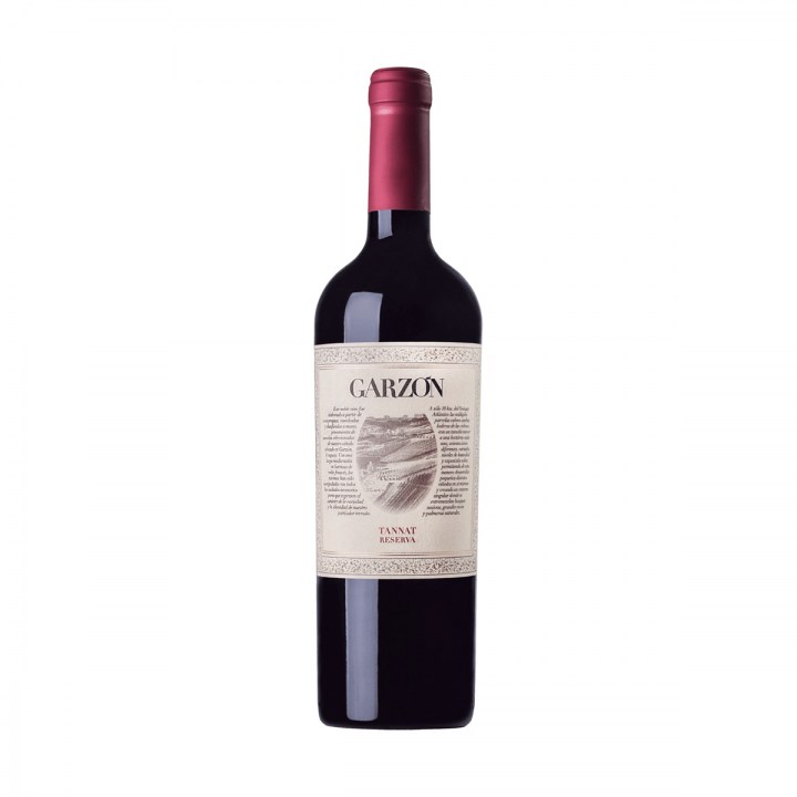 Garzon-Tannat-Reserva-1200x1200.png