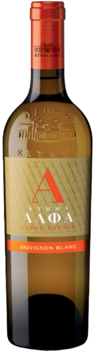 Leukos-Magnum-Alpha_new_20260305171928_260305171928362